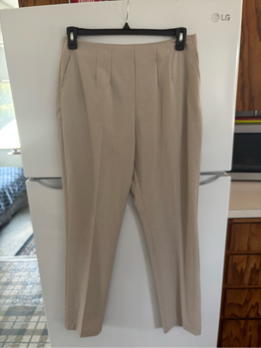 Coldwater Creek Beige/Tan Tailored Pleated Dress Pants